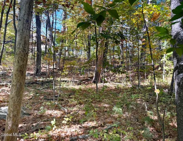 $44,900 | 32 Schermerhorn Drive, Lake George, NY 12845