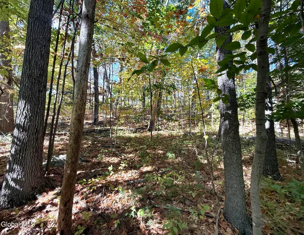 $44,900 | 32 Schermerhorn Drive, Lake George, NY 12845