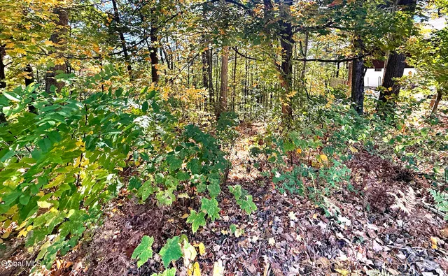 $44,900 | 32 Schermerhorn Drive, Lake George, NY 12845