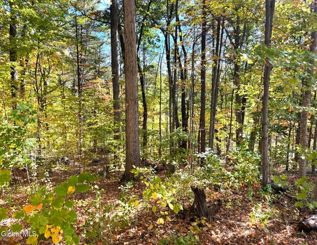 $44,900 | 32 Schermerhorn Drive, Lake George, NY 12845