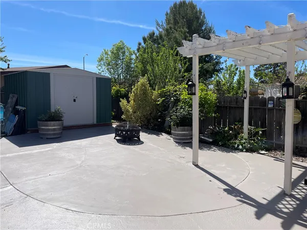 a view of a backyard with potted plants