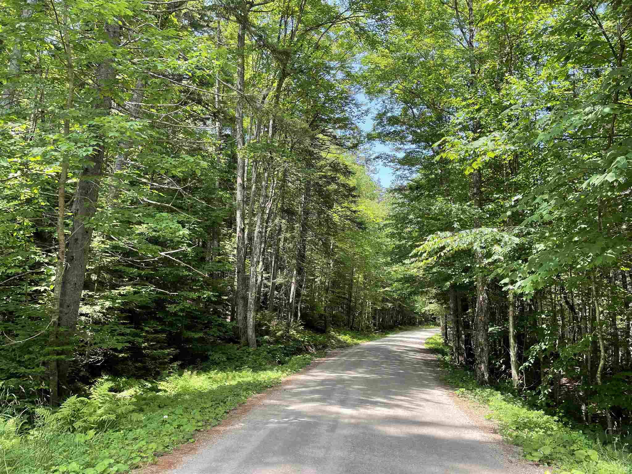 420 Greendale Road Weston, VT 05161 - Photo 36 of 39