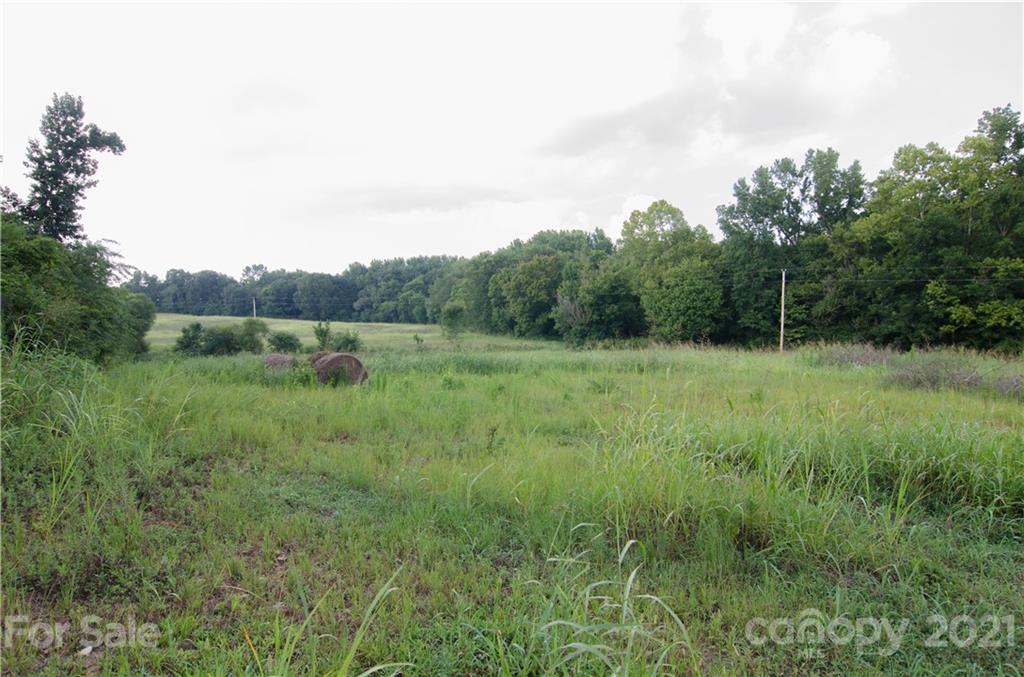 0 Edwards Road Wingate, NC 28174 - Photo 2 of 5 a view of a lush green space with sea