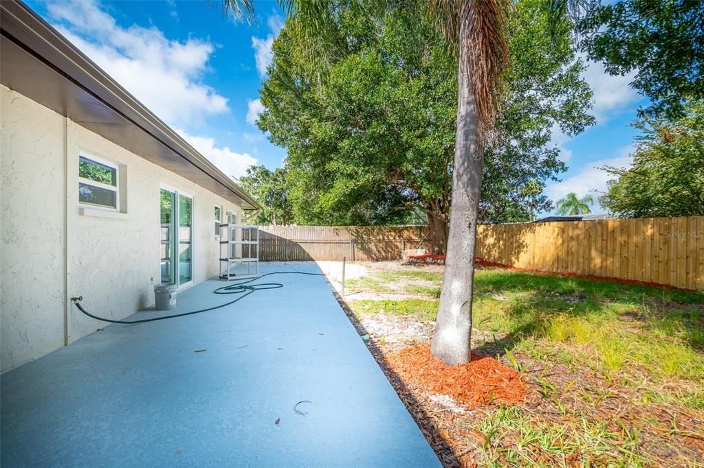 1806 Forest Drive Oldsmar, FL 34677 - Photo 19 of 23 a view of a house with backyard and a tree
