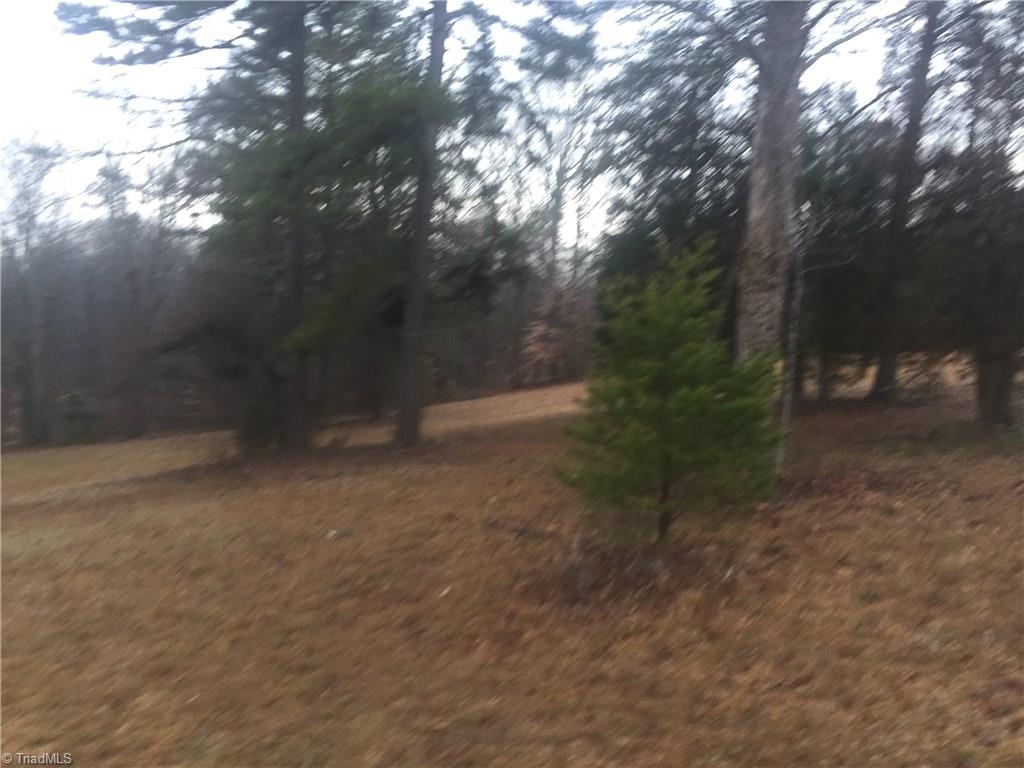 11 Doub Road Lewisville, NC 27023 - Photo 2 of 17 Beautiful half wooded lot with city water