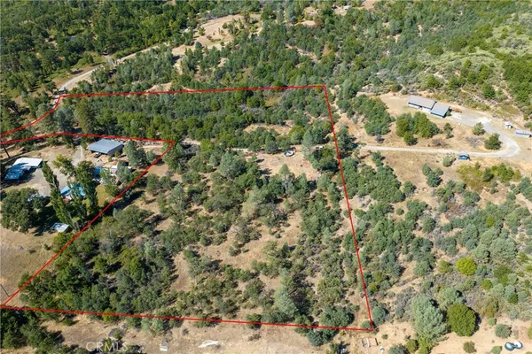 a view of a yard with a tree