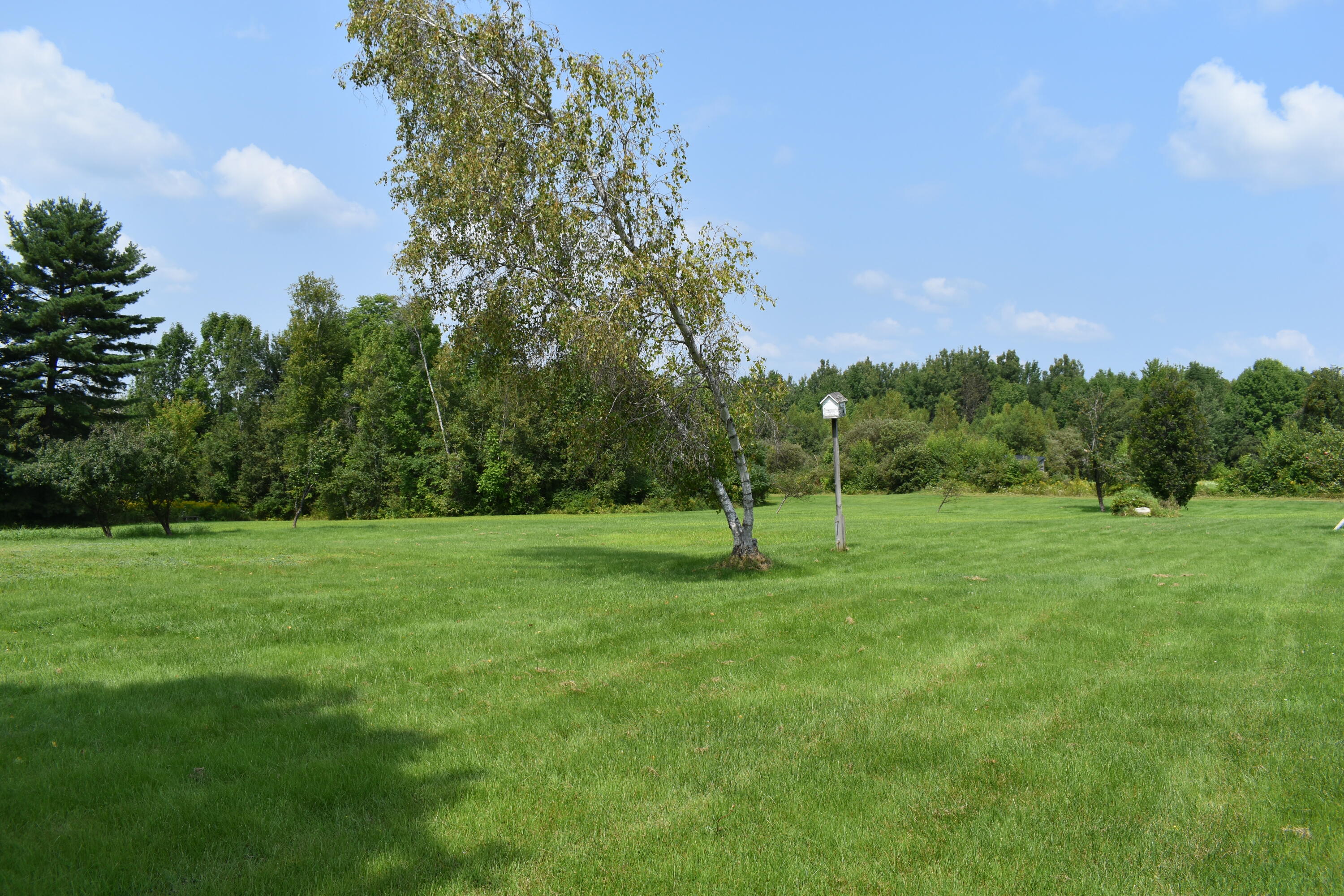 389 Enfield Road Lincoln, ME 04457 - Photo 33 of 46 DSC_0299