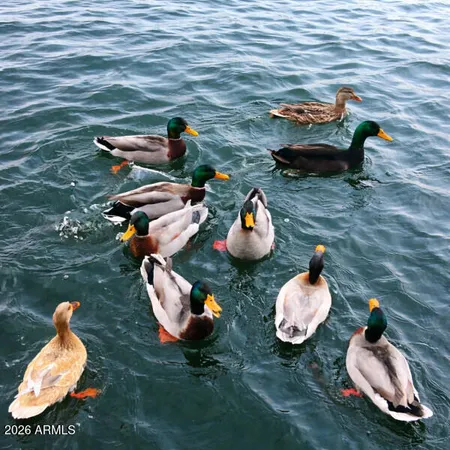 $15,500 | 21428 North 55th Avenue, Glendale, AZ 85308