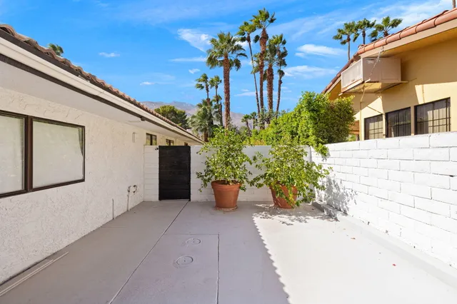 a view of a backyard with potted plants