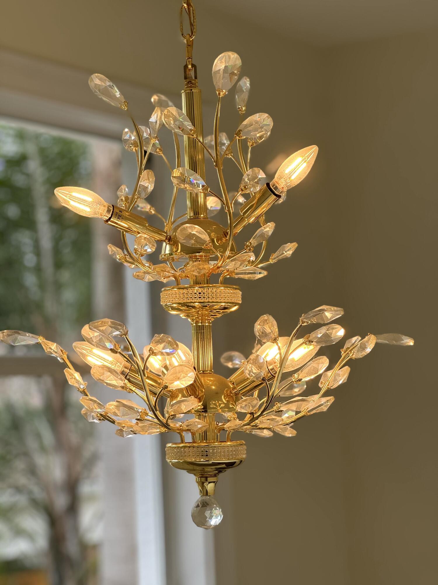 6615 Northwest 26th Way Boca Raton, FL 33496 - Photo 14 of 25 Dining Room Chandelier