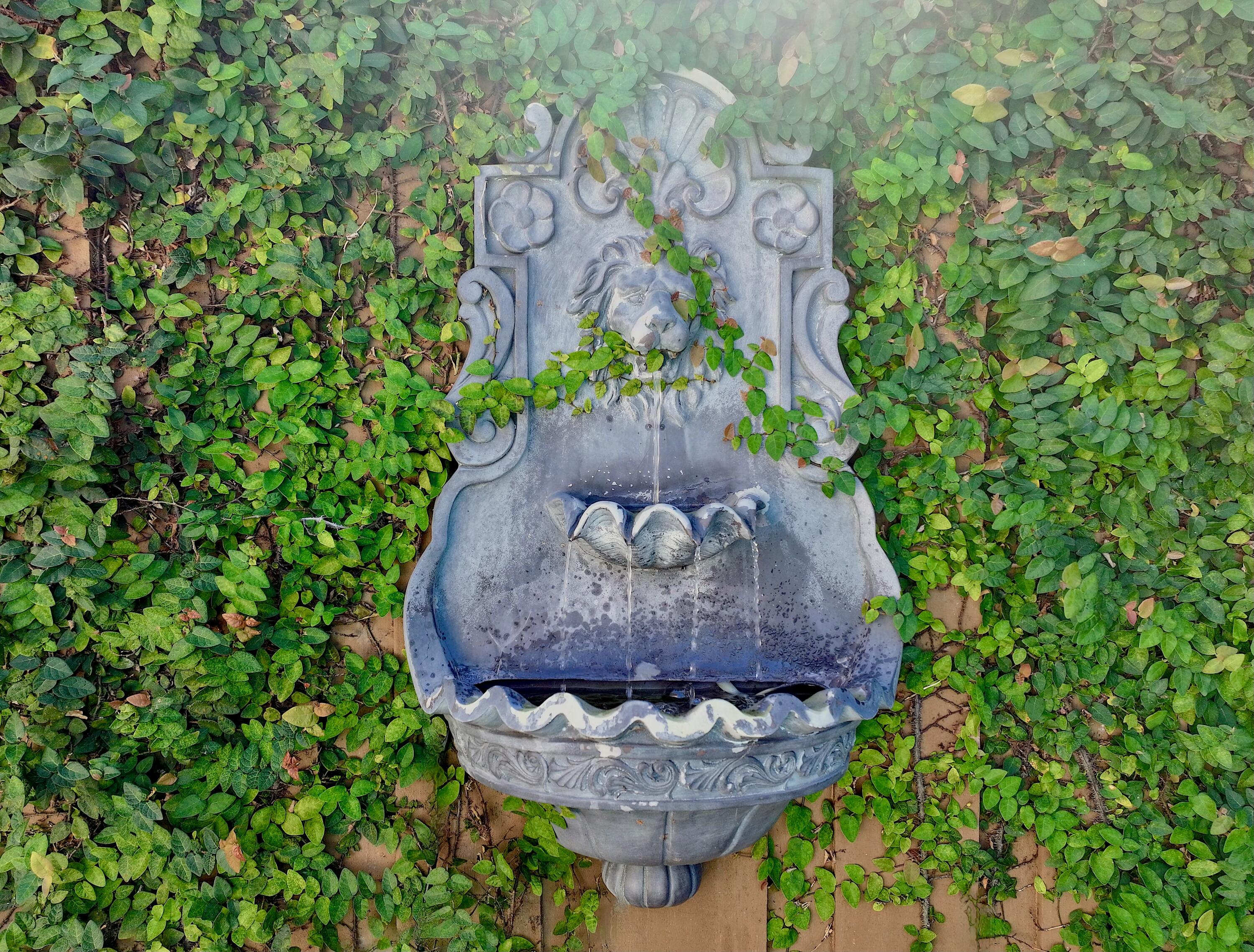 6615 Northwest 26th Way Boca Raton, FL 33496 - Photo 18 of 25 Backyard Fountain
