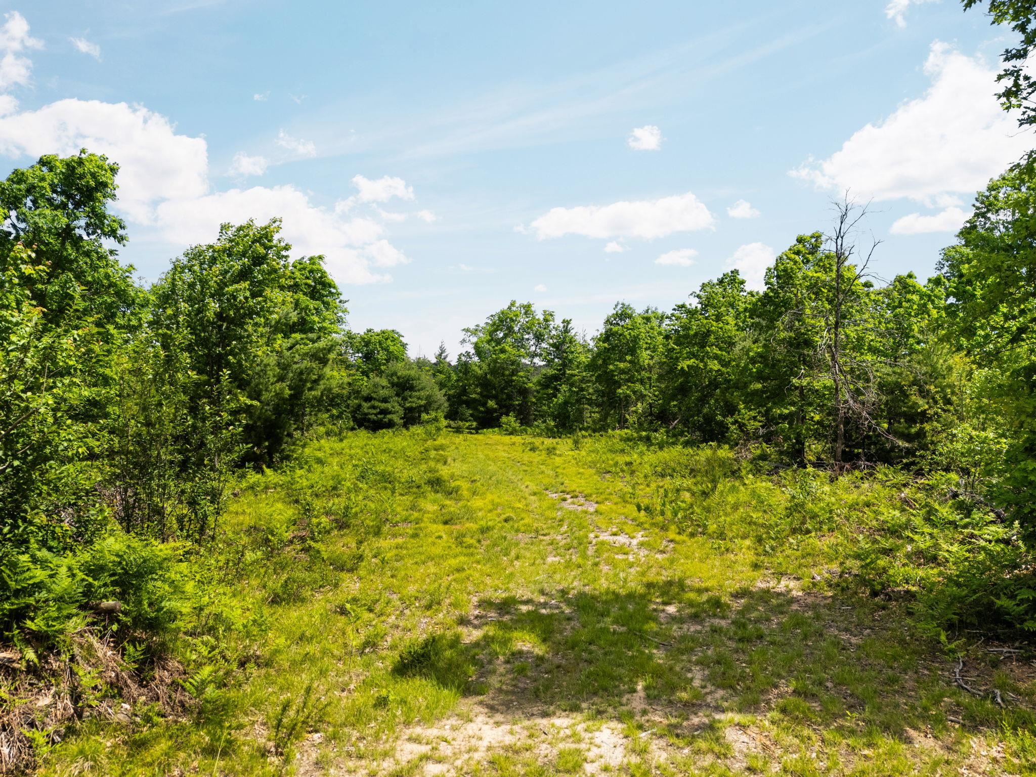 4011 West Forest Road Lake City, MI 49651 - Photo 8 of 36