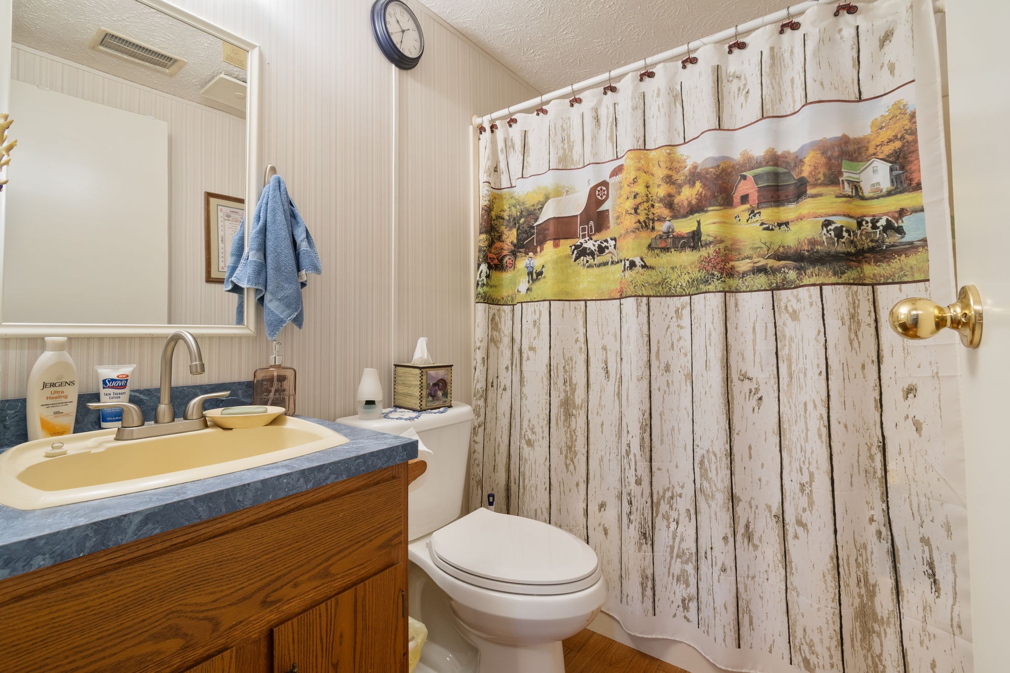 1300 New She Boss Road Duck River, TN 38454 - Photo 12 of 56 a bathroom with a sink a toilet and a mirror
