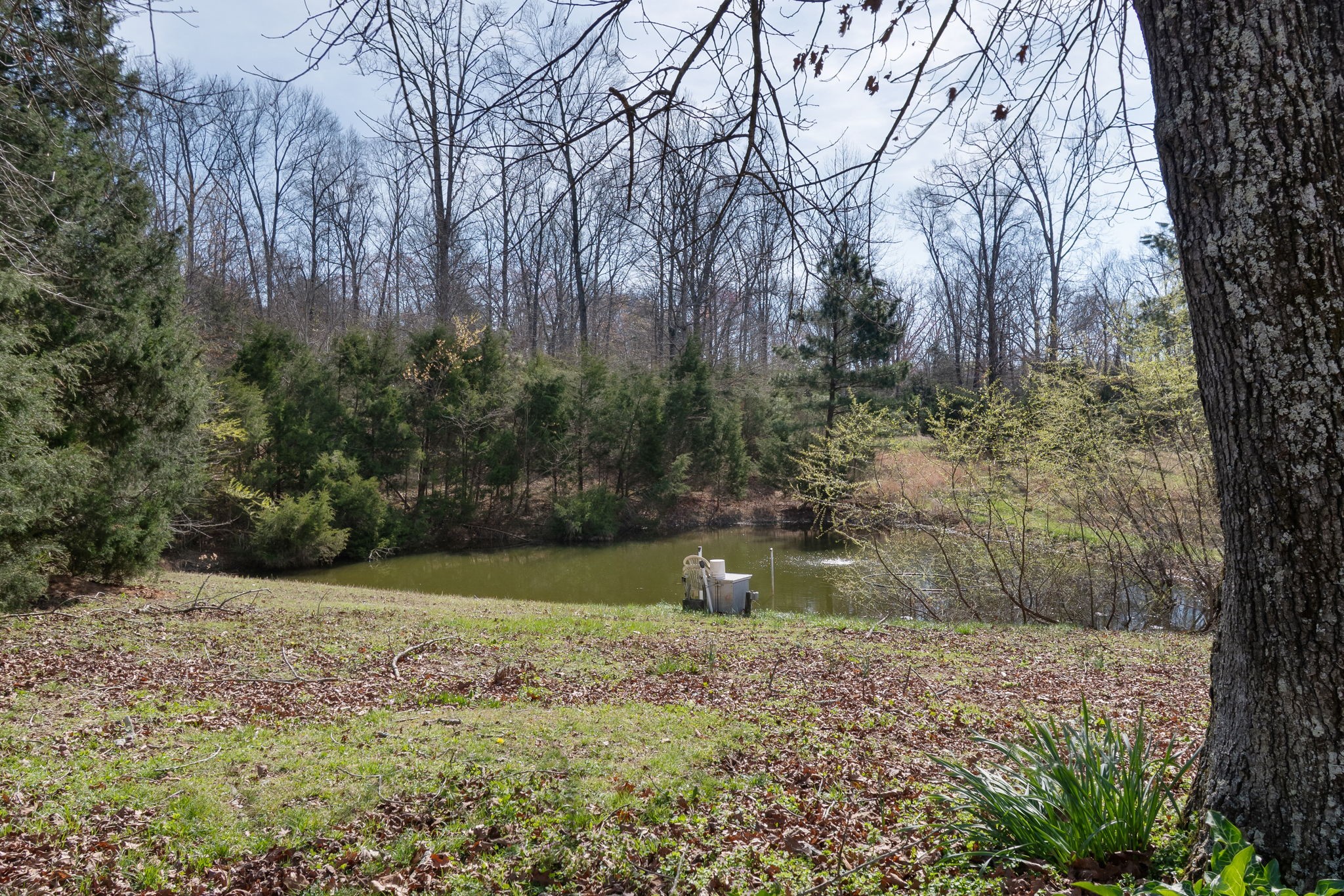1300 New She Boss Road Duck River, TN 38454 - Photo 2 of 56 a backyard of a house with lots of green space