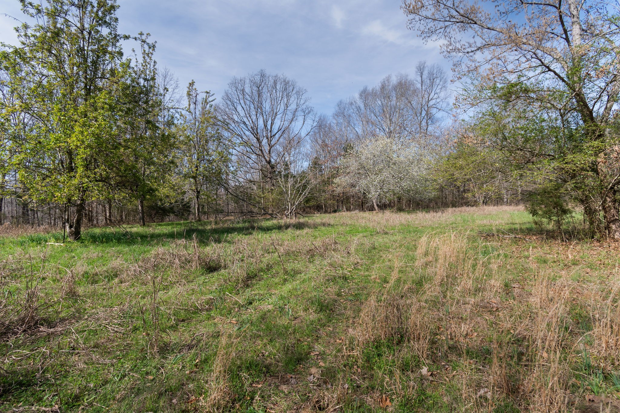 1300 New She Boss Road Duck River, TN 38454 - Photo 26 of 56 a view of outdoor space with deck and yard