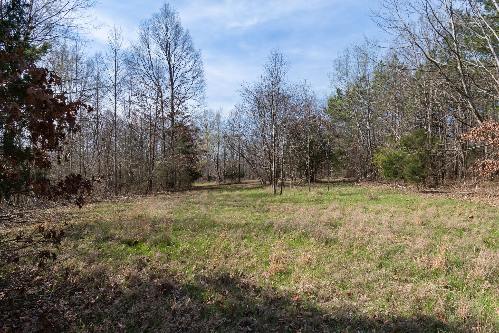 1300 New She Boss Road Duck River, TN 38454 - Photo 30 of 56