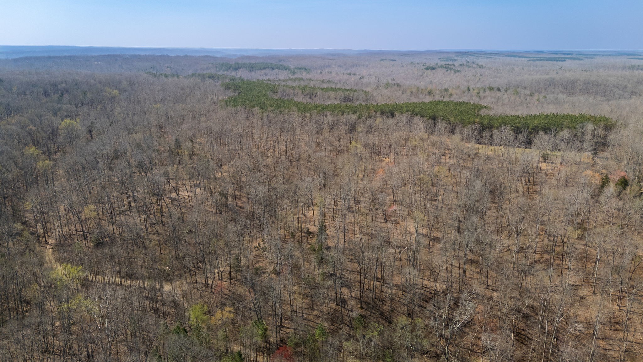 1300 New She Boss Road Duck River, TN 38454 - Photo 47 of 56 a view of a lake with a yard
