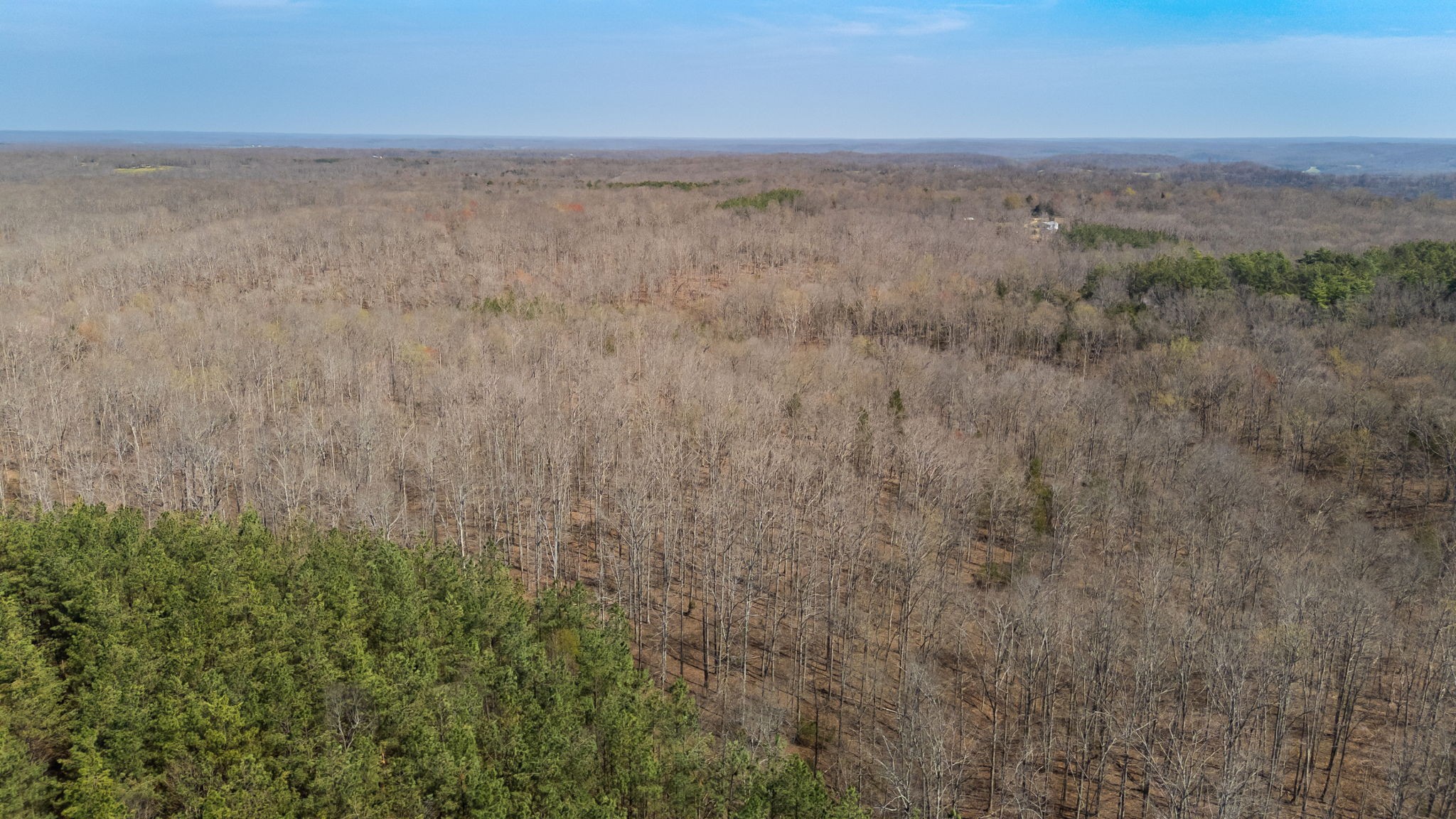 1300 New She Boss Road Duck River, TN 38454 - Photo 50 of 56