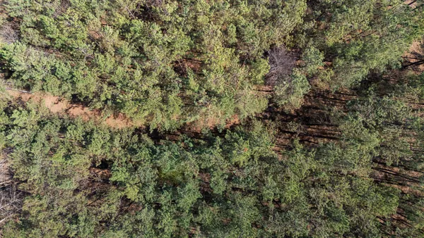 $850,000 | 1300 New She Boss Road, Duck River, TN 38454