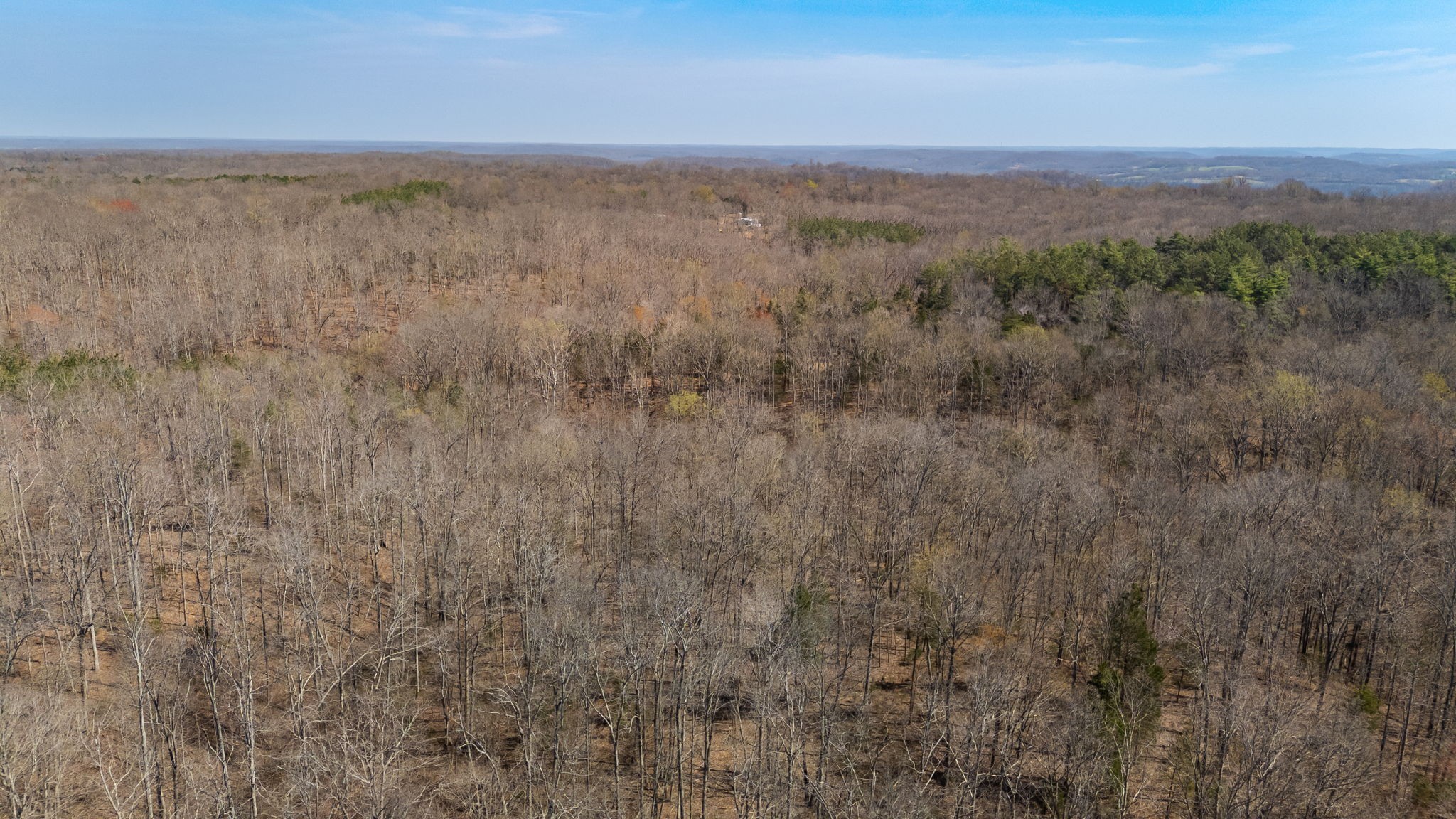 1300 New She Boss Road Duck River, TN 38454 - Photo 52 of 56 a view of an outdoor space and a yard