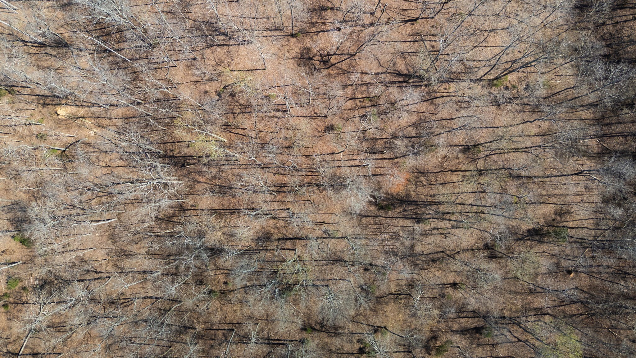 1300 New She Boss Road Duck River, TN 38454 - Photo 55 of 56 a close up of a white marble wall