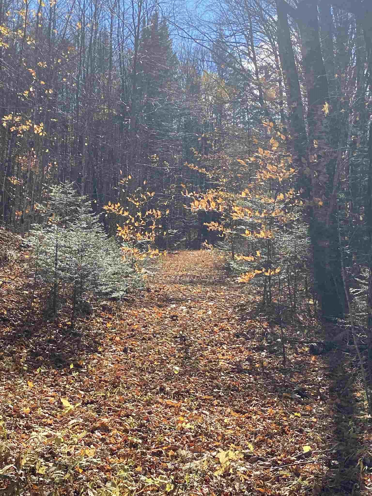 1350 Backway Road Corinth, VT 05039 - Photo 1 of 4