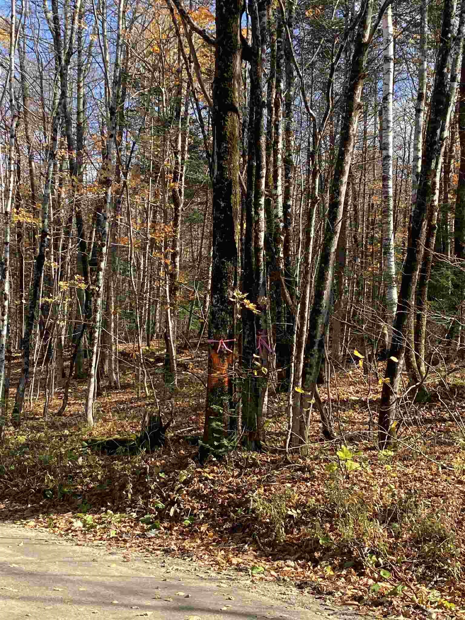 1350 Backway Road Corinth, VT 05039 - Photo 2 of 4