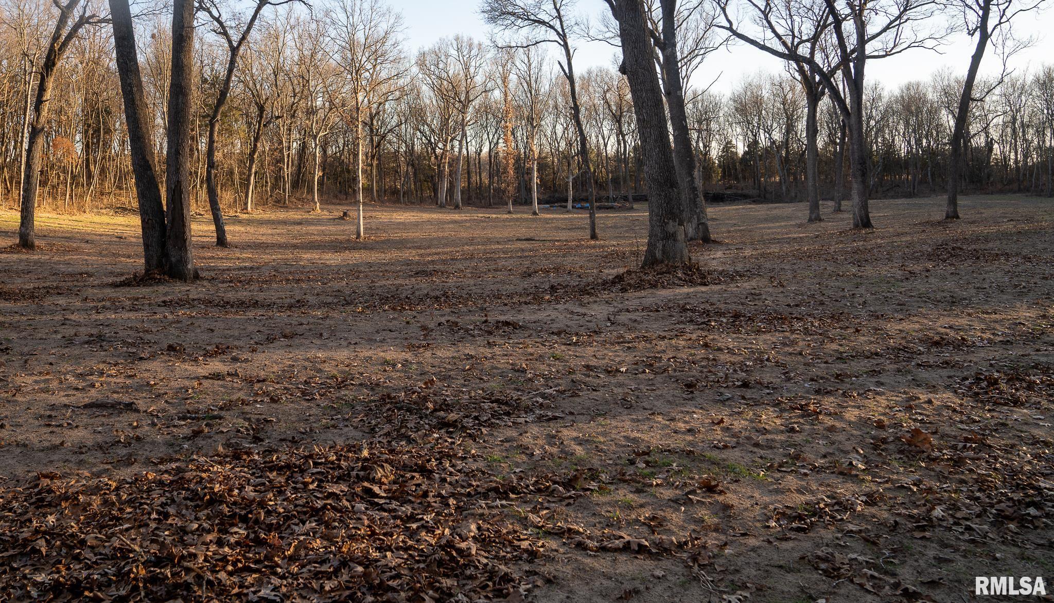 1 East 1050 Road Kilbourne, IL 62655 - Photo 20 of 36