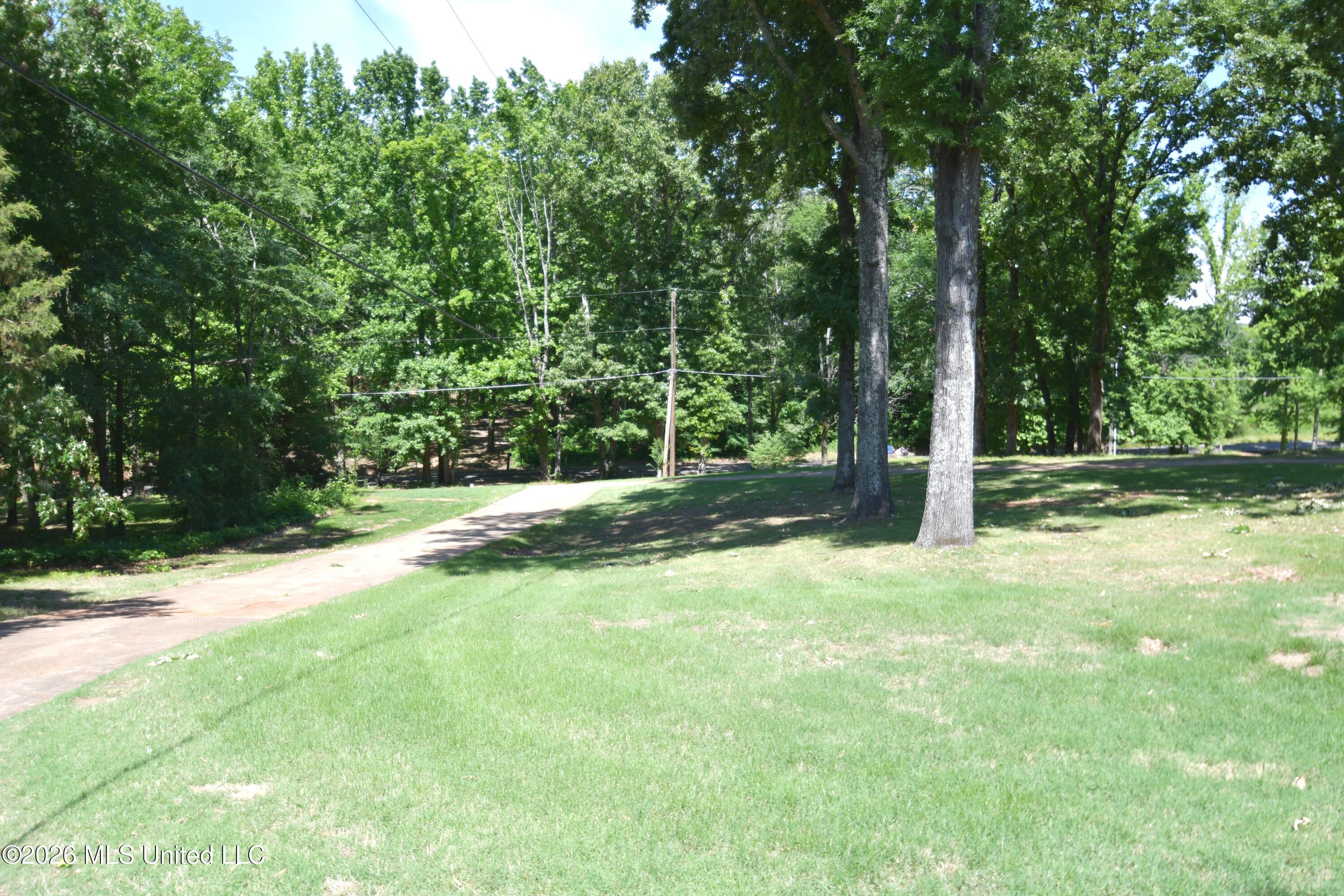 1780 Malone Road Nesbit, MS 38651 - Photo 24 of 31 Front Yard