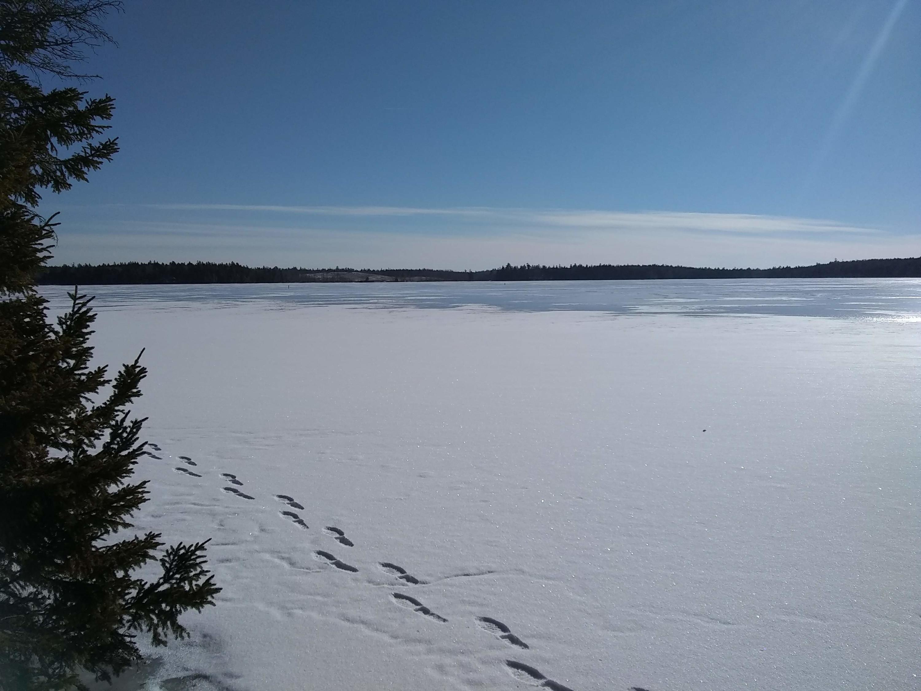 Lot 35.2 Stagecoach Road Dennysville, ME 04628 - Photo 3 of 8 IMG_20190114_122327490