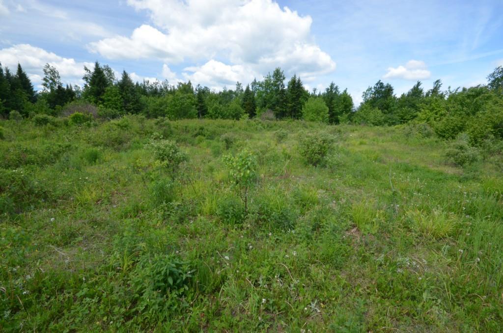 0 Moose Brook Road Houlton, ME 04730 - Photo 16 of 18 Maine Land for Sale in Ludlow Maine