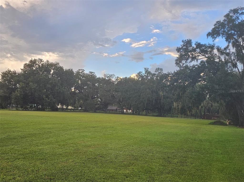 Miller Road Dade City, FL 33525 - Photo 4 of 5 Gallery Image 4