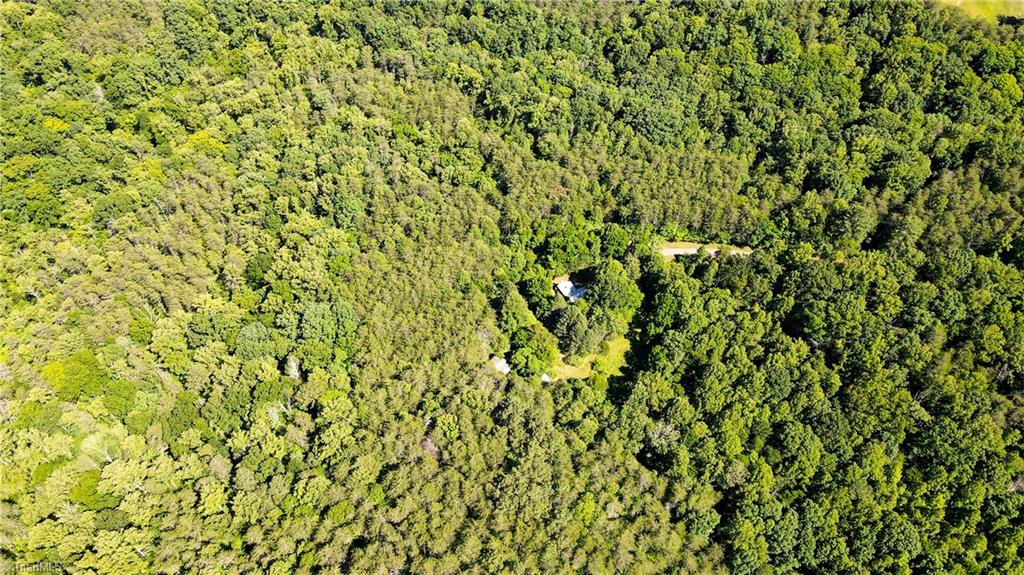 1215 Lucius Beasley Road Westfield, NC 27053 - Photo 12 of 25