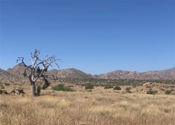 a view of a dry field
