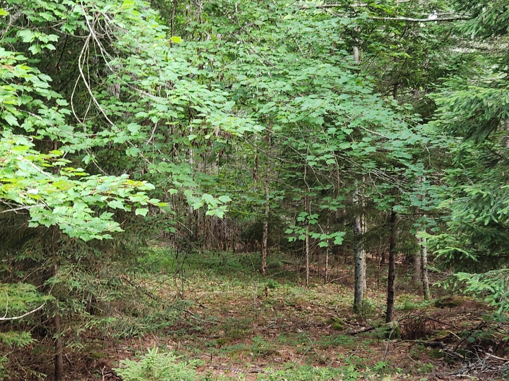2851 Friendship Road Waldoboro, ME 04572 - Photo 6 of 16 20240730_155448