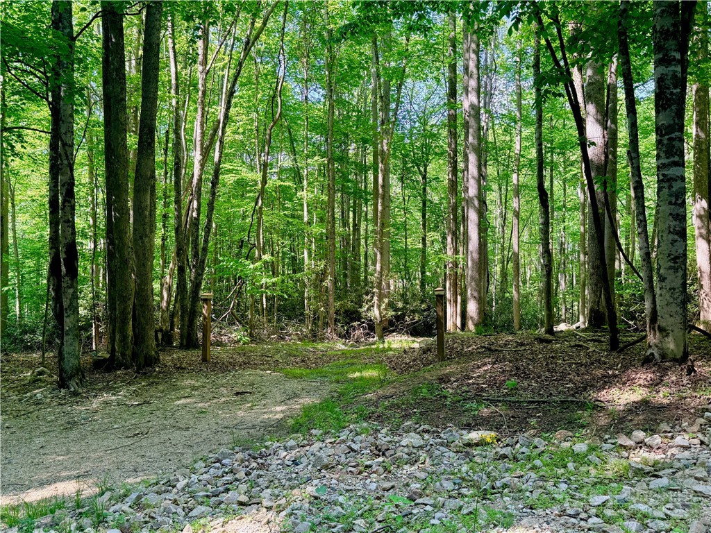 Lot 5 Buckeye Ridge Road Beech Mountain, NC 28604 - Photo 3 of 12