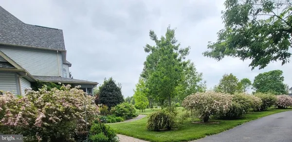 a view of a back yard of the house
