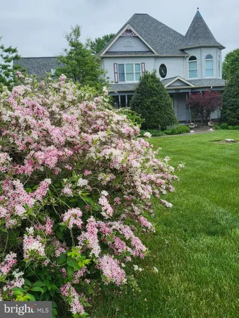 a view of a house with a garden