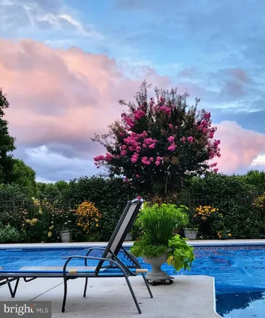 a view of a bench in a yard