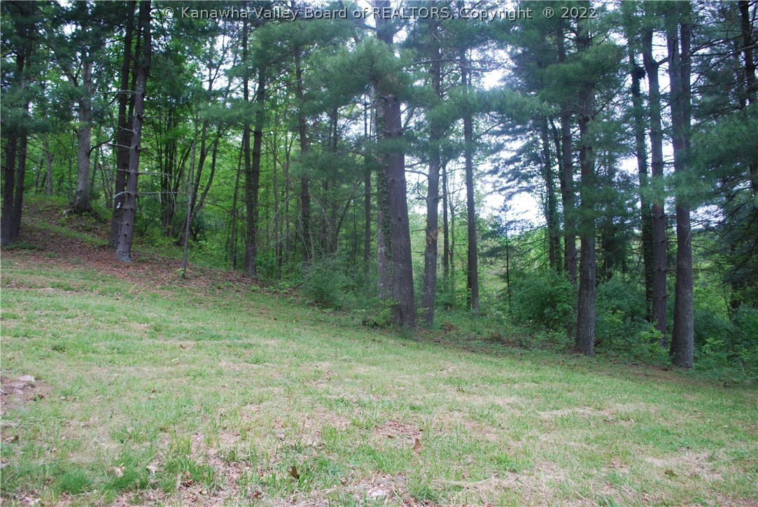 185 Cornstalk Road Southside, WV 25187 - Photo 7 of 13 Gallery Image 7