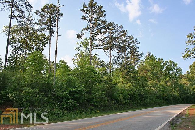 0 Castleberry Bridge Road, Unit 12AC Dawsonville, GA 30534 - Photo 1 of 1 Road frontage along the property