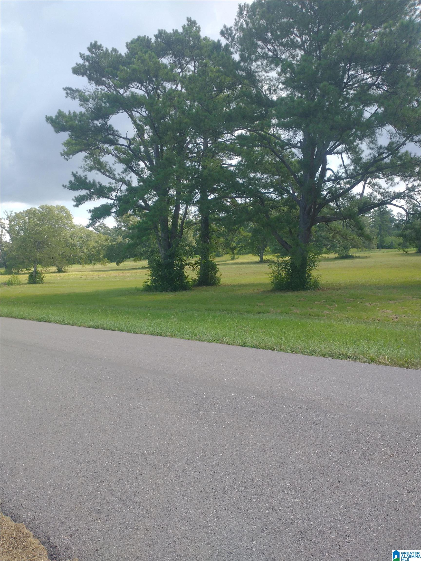 3150 Easonville Road, Unit 16 5 Pell City, AL 35128 - Photo 2 of 8
