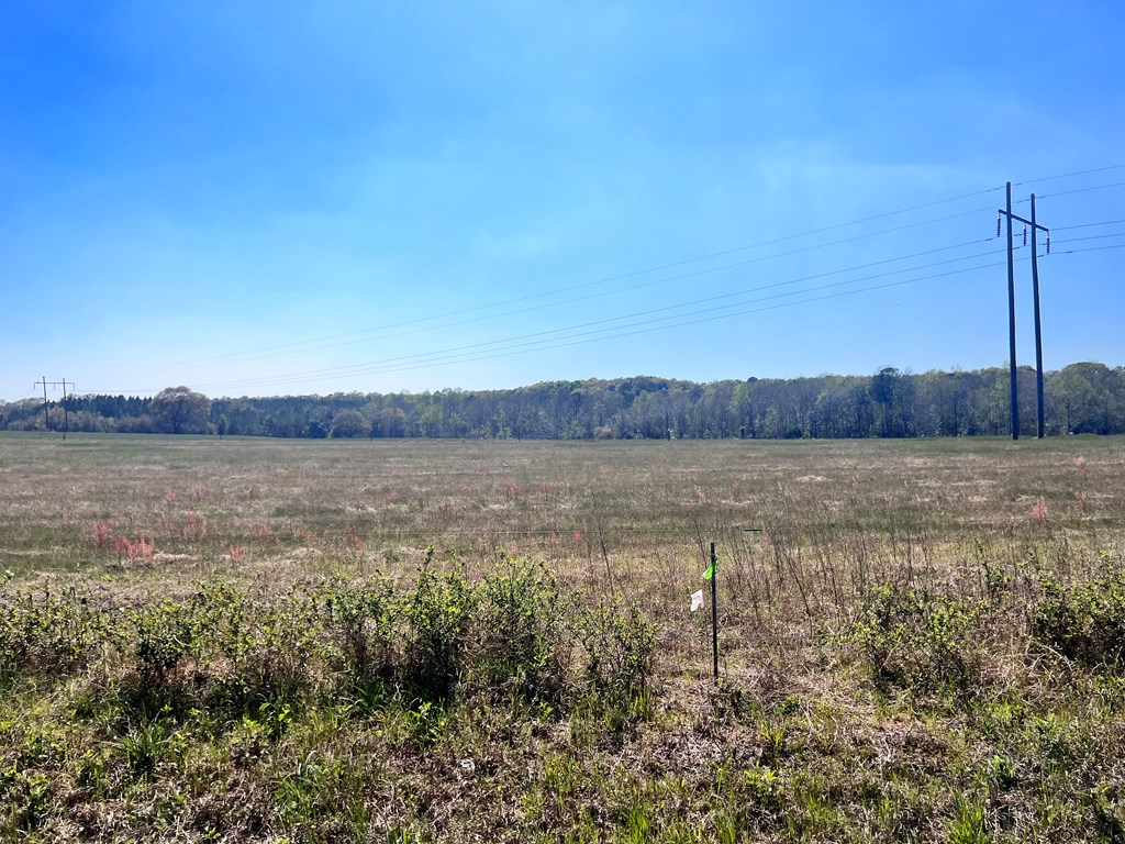 0 Co Road Headland, AL 36345 - Photo 4 of 6