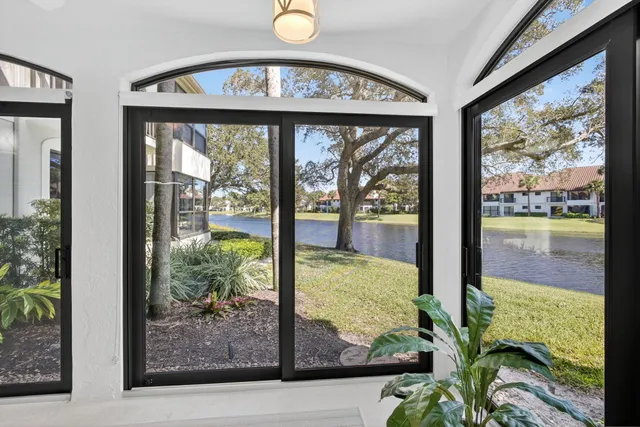 a view of a garden from a window