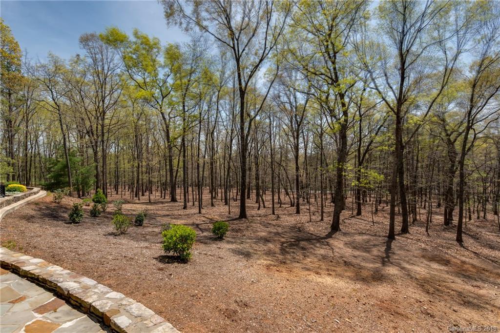 200 Coachman Lane Tryon, NC 28782 - Photo 20 of 28 Gallery Image 20