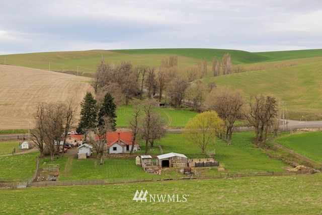 323 Whetstone Road Dayton, WA 99328 - Photo 1 of 25