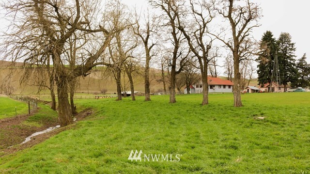 323 Whetstone Road Dayton, WA 99328 - Photo 2 of 25