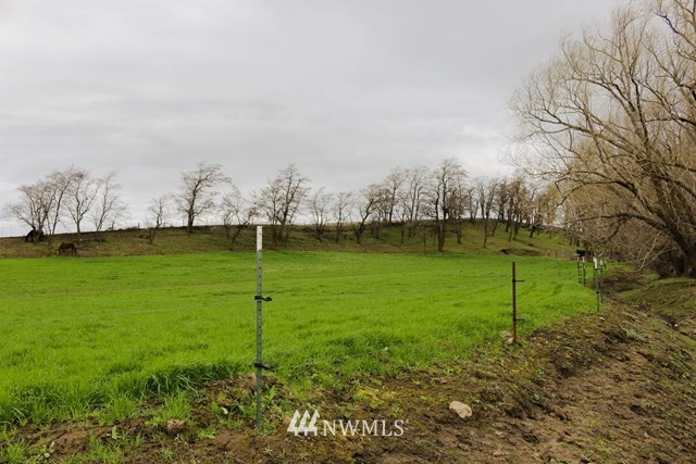 323 Whetstone Road Dayton, WA 99328 - Photo 12 of 25