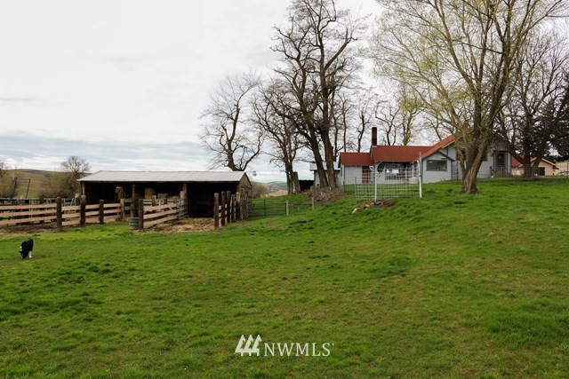 323 Whetstone Road Dayton, WA 99328 - Photo 4 of 25