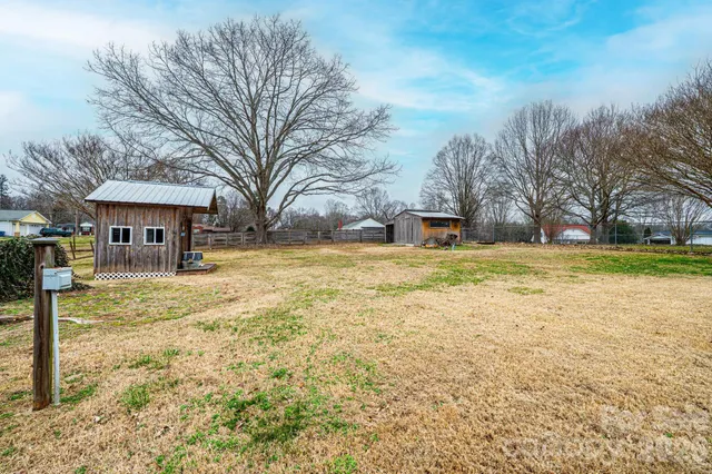 a view of a yard with plants and a large tree